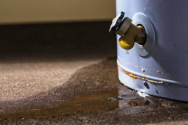 Best Water damage restoration cost  in Caledonia, MN