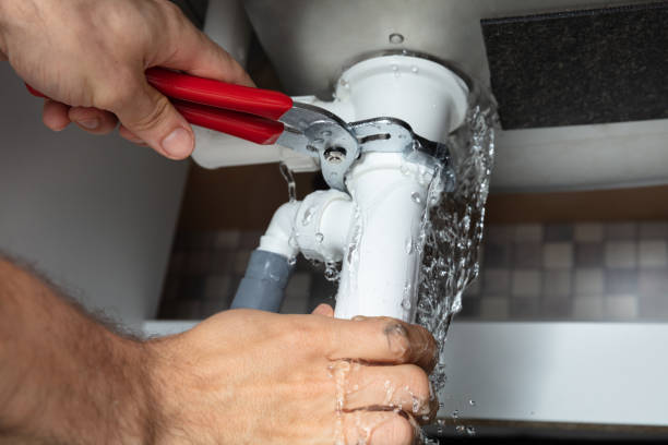 Carpet water damage restoration in Caledonia, MN