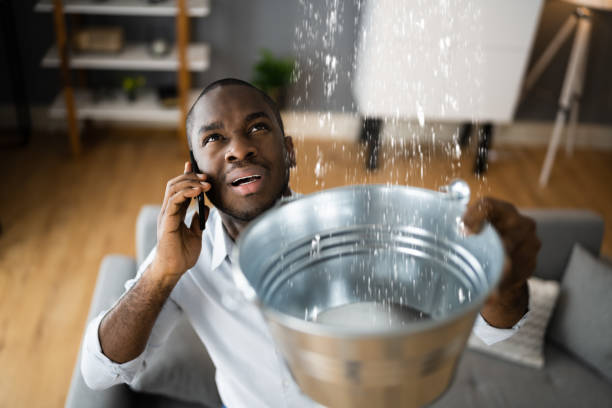 Best Water damage restoration near me  in Caledonia, MN