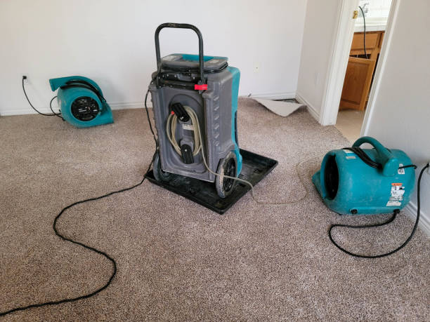 Best Sewage cleanup and water damage restoration  in Caledonia, MN