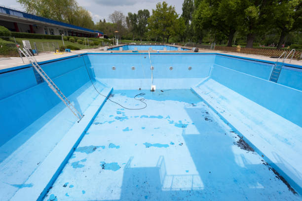 Best Mold removal after water damage  in Caledonia, MN