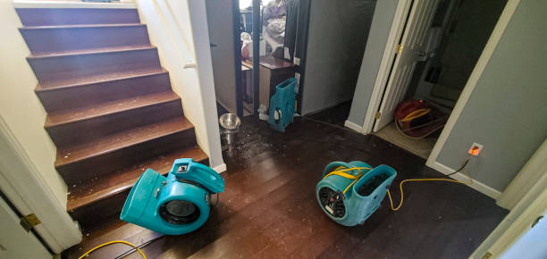 Best 24-hour water damage restoration  in Caledonia, MN