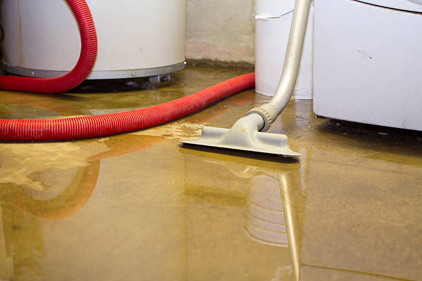 Best Flooded house restoration  in Caledonia, MN