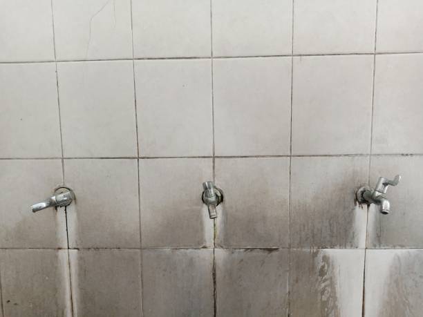 Best Sewage cleanup and water damage restoration  in Caledonia, MN