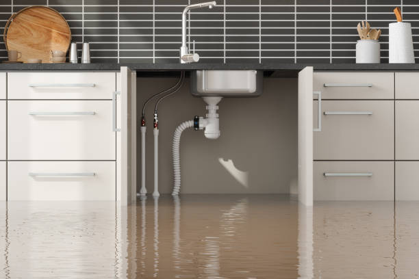  Caledonia, MN Water damage restoration Pros