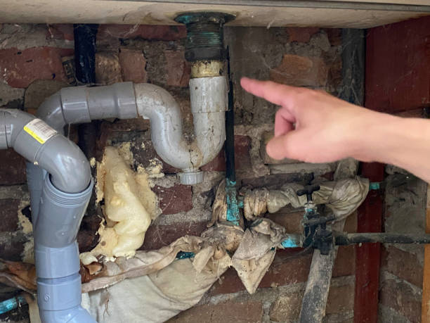 Best Mold removal after water damage  in Caledonia, MN